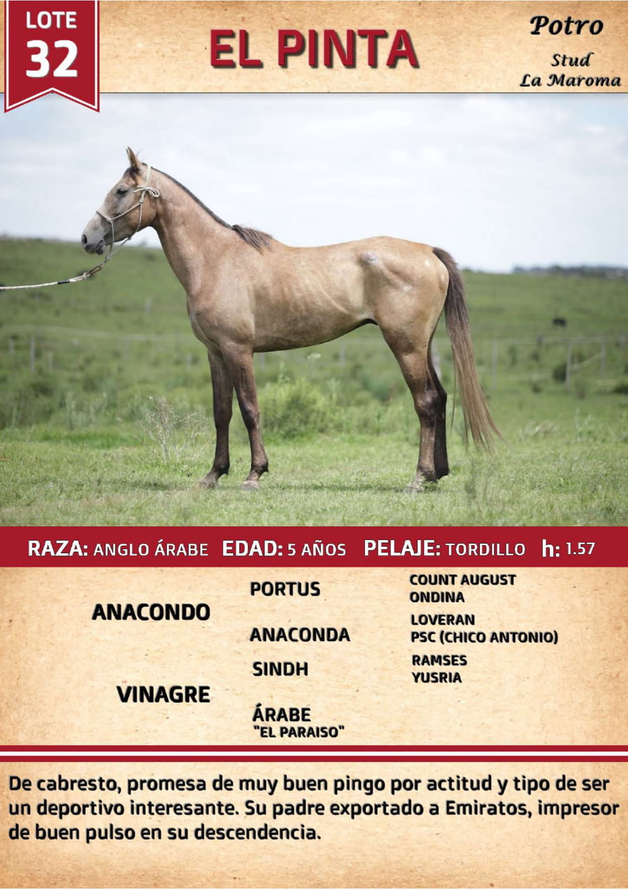 Lote EL PINTA