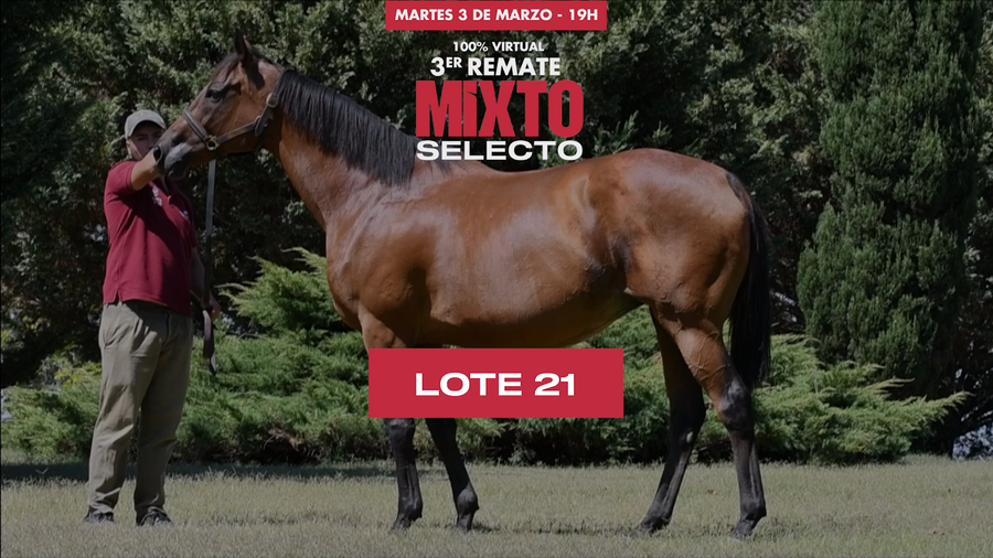 Lote FUSTIC (BRZ)