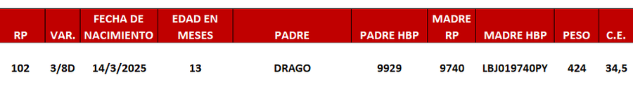 Lote LOTE 25 -DE JUNIOR