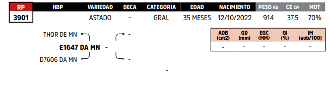 Lote LOTE 26