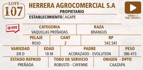 Lote LOTE 107 -EN VIVO