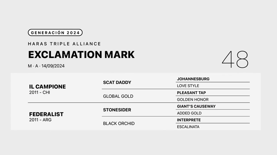 Lote EXCLAMATION MARK