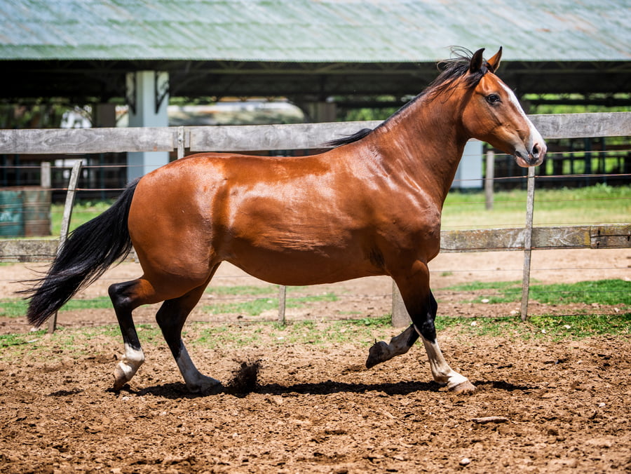 Lote DEL SIETE LISTA MALA