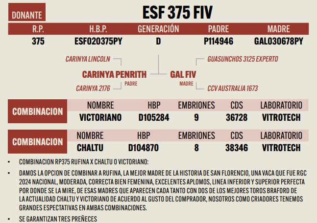 Lote LOTE 22