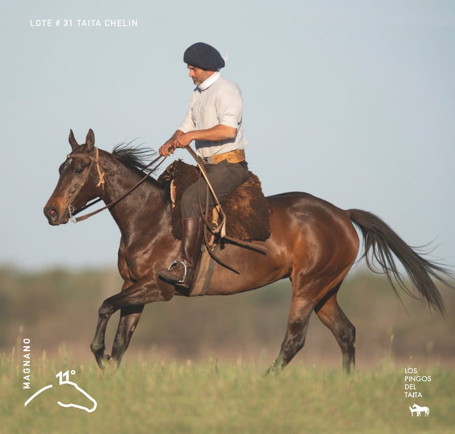 Lote TAITA CHELIN - T/E (OPEN MESSI - OPEN CHELA)