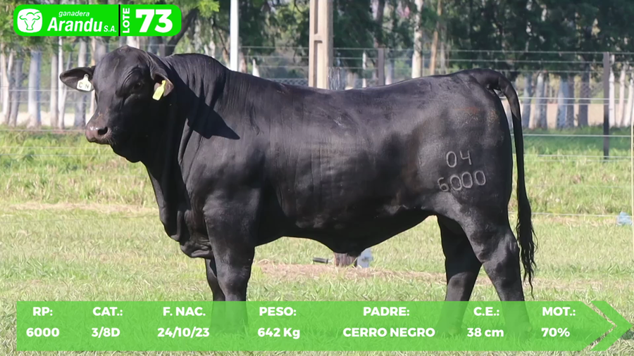 Lote LOTE 73