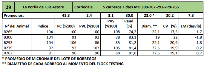Lote 5 carneros 2 dtes MO 300-262-293-279-265