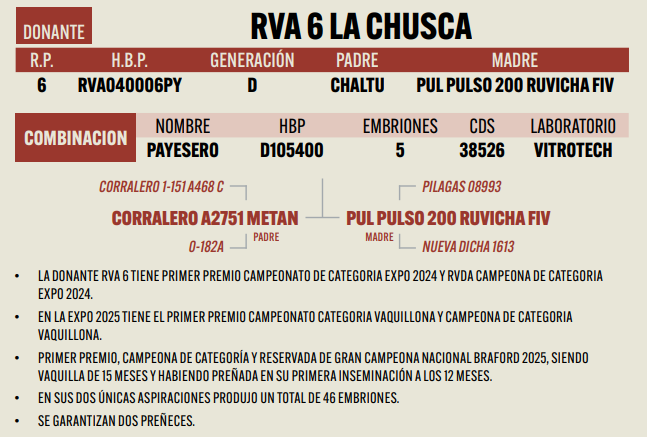 Lote LOTE 20