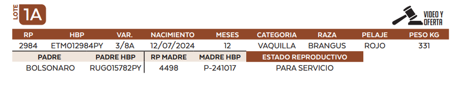 Lote LOTE 1 A