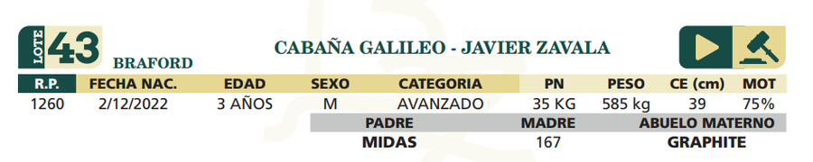 Lote LOTE 43