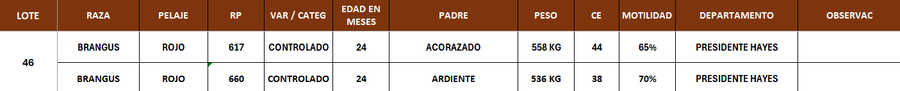 Lote LOTE 46- POR PANTALLA