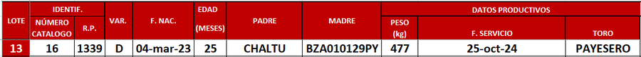 Lote LOTE 13