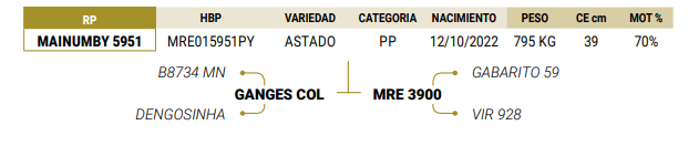 Lote LOTE 64