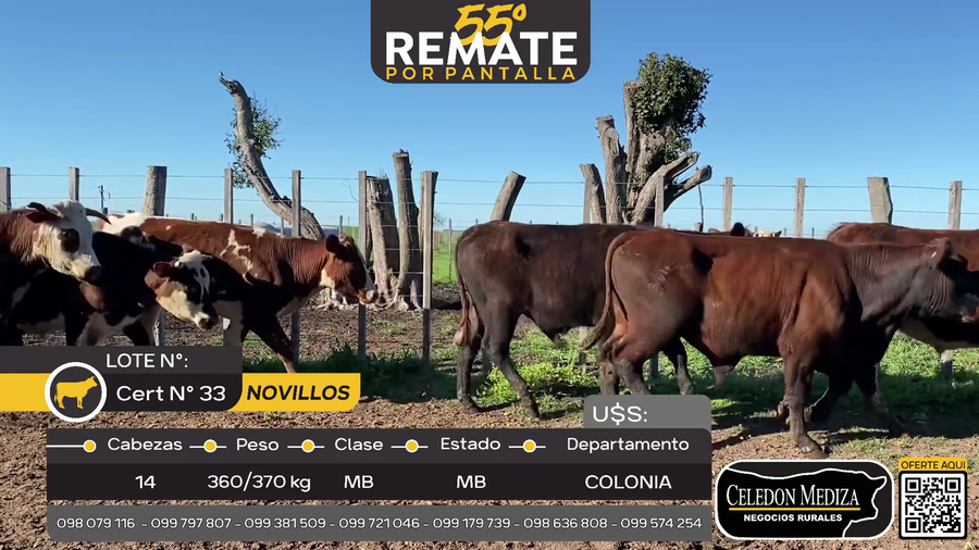 Lote 14 Novillos en Las Víboras, Colonia