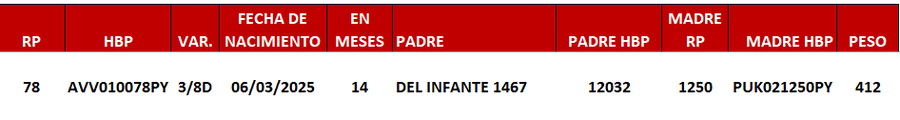 Lote LOTE 22 -DE JUNIOR