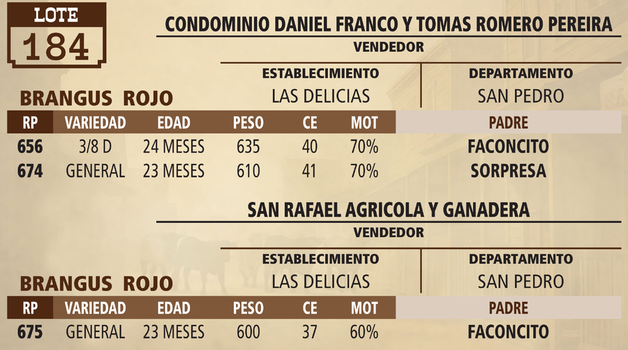Lote LOTE 184 - VIVO