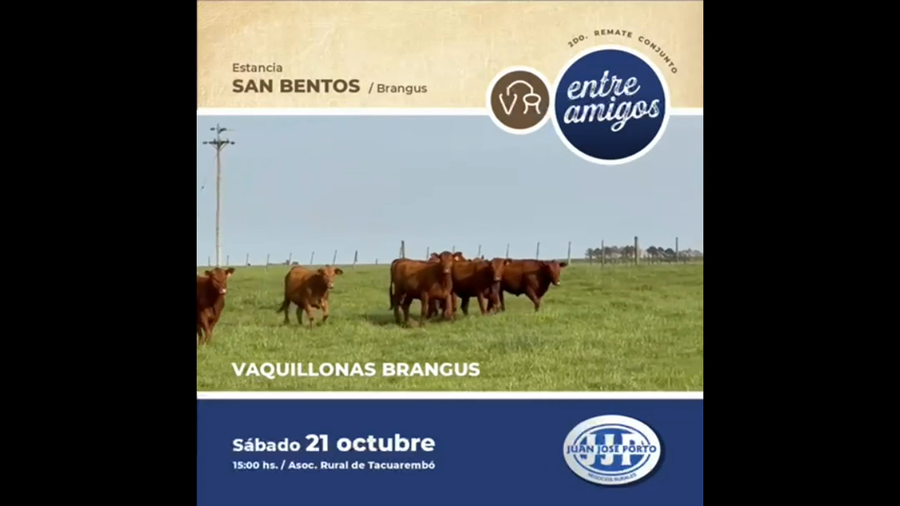 Lote "Cabaña ""San Bentos"""