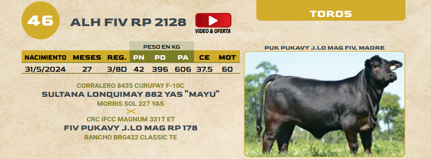 Lote LOTE 46