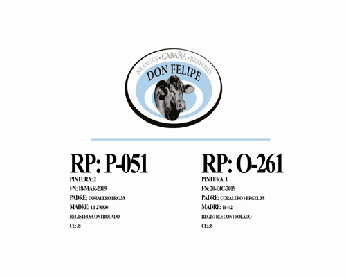 Lote Toros Cabaña Don Felipe