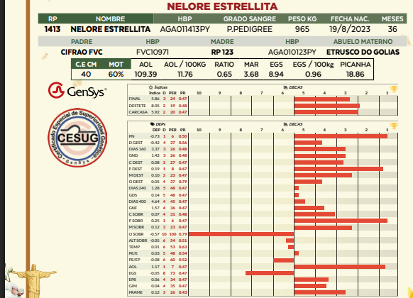 Lote LOTE 52