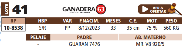 Lote LOTE 41