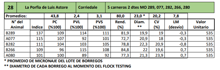 Lote 5 carneros 2 dtes MO 289, 077, 282, 266, 280