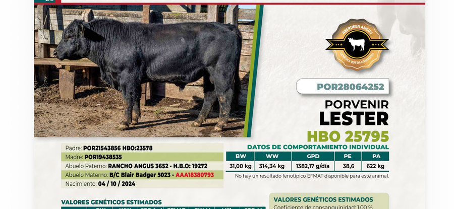 Lote 1 Toro LESTER DIIO 4252