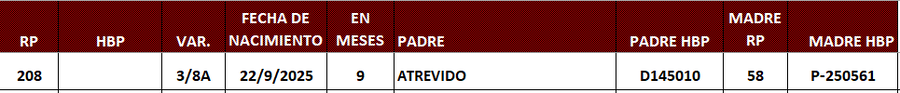 Lote LOTE 1