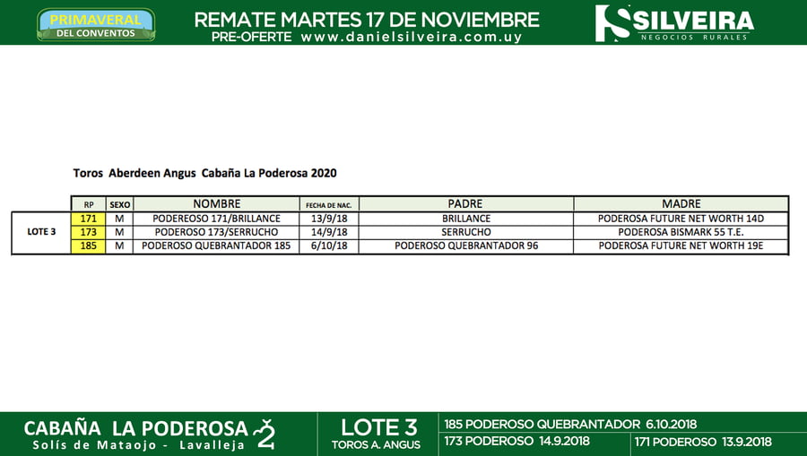 Lote Cabaña La Poderosa