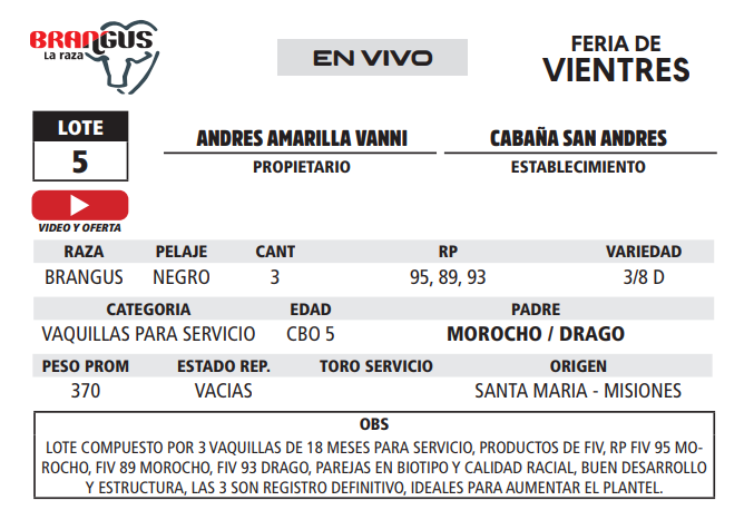 Lote LOTE 5 - EN VIVO