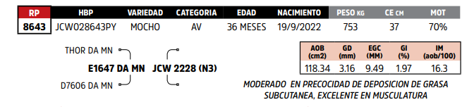 Lote LOTE 16
