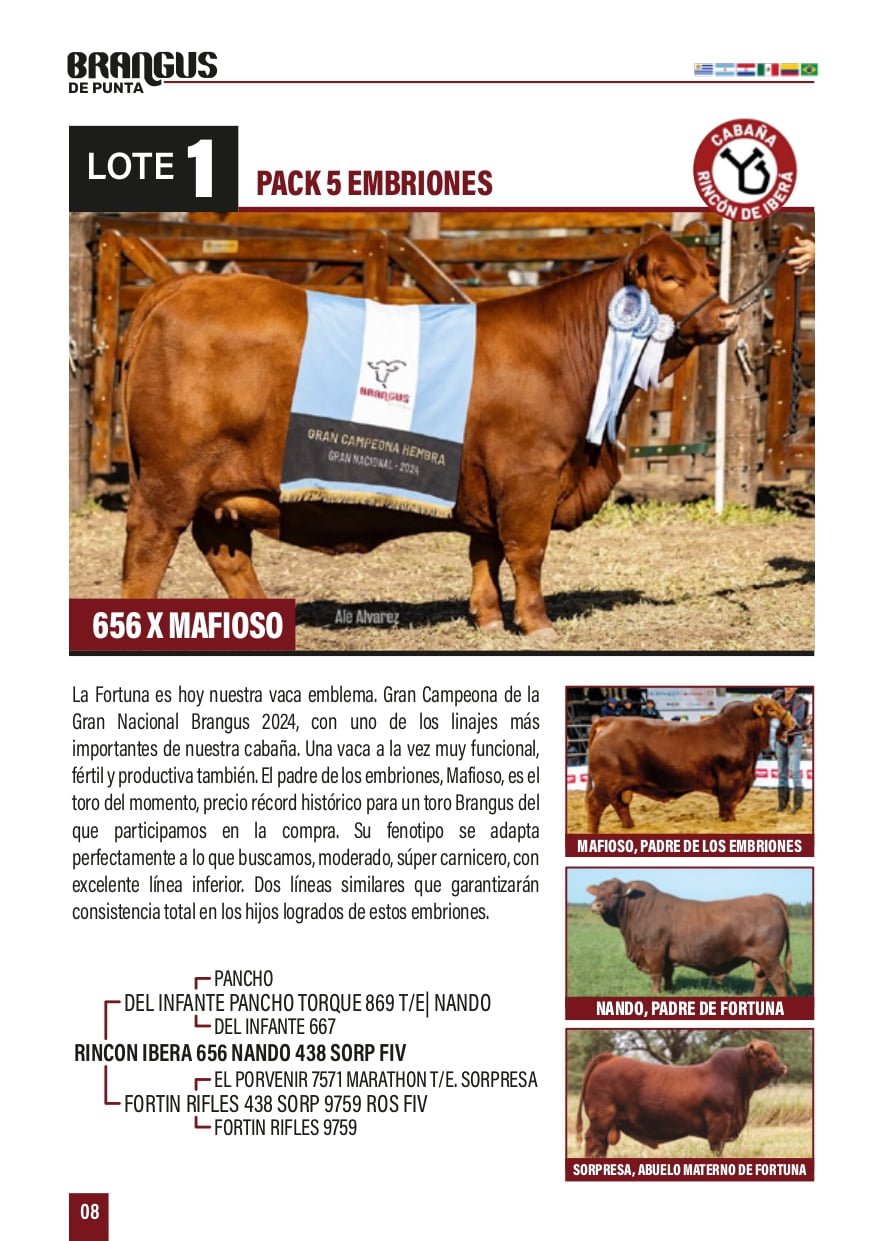 Lote PACK 5 EMBRIONES 656 X MAFIOSO