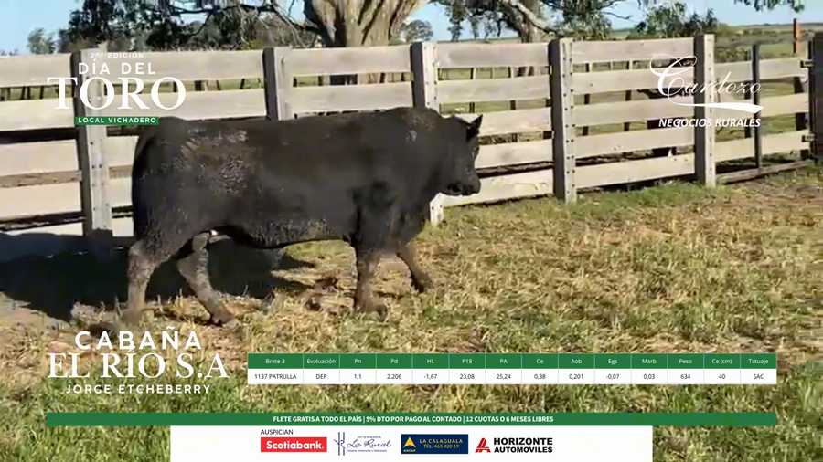 Lote El Rio Angus - Brete 3