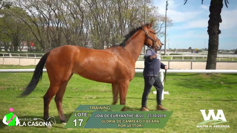 Lote JOIA DE EURYANTHE (Brz)