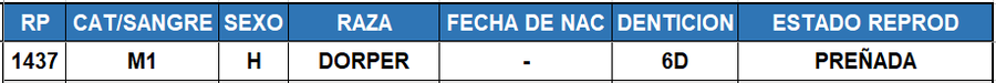 Lote LOTE 49