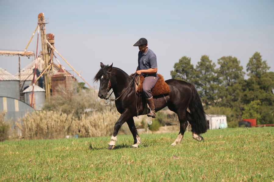 Lote TIZON DEL CONVENTOS