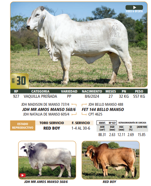 Lote LOTE 30