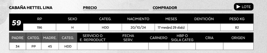 Lote LOTE 59