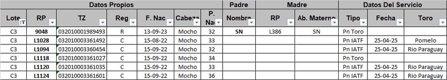 Lote 6 Vaquillonas preñadas
