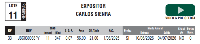 Lote LOTE 11