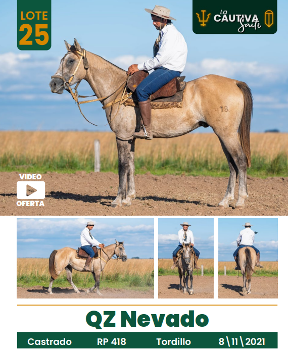 Lote LOTE 25