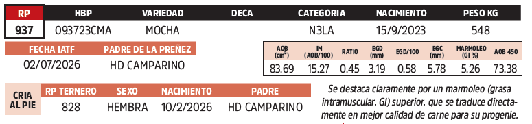 Lote LOTE 35