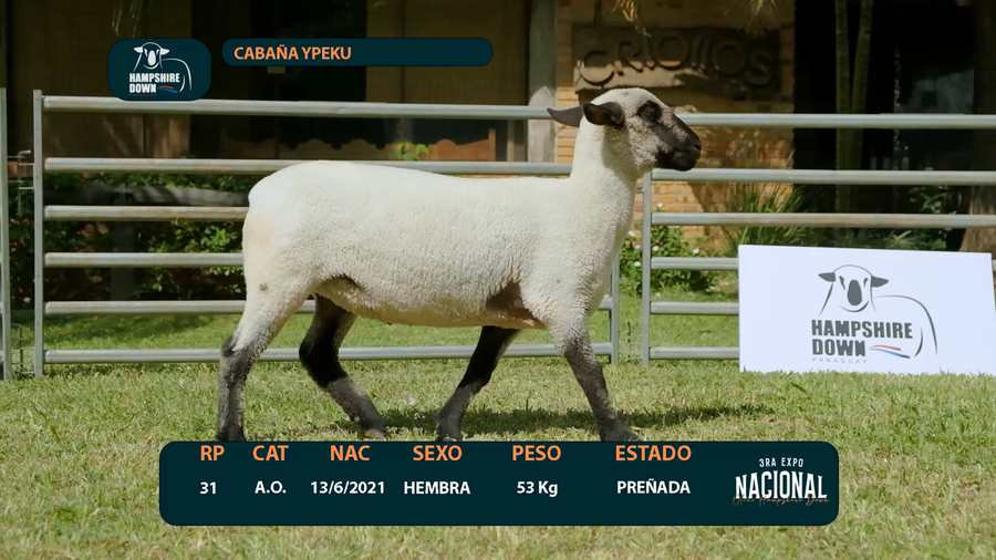 Lote LOTE 3 - CABAÑA YPEKU - RP 31
