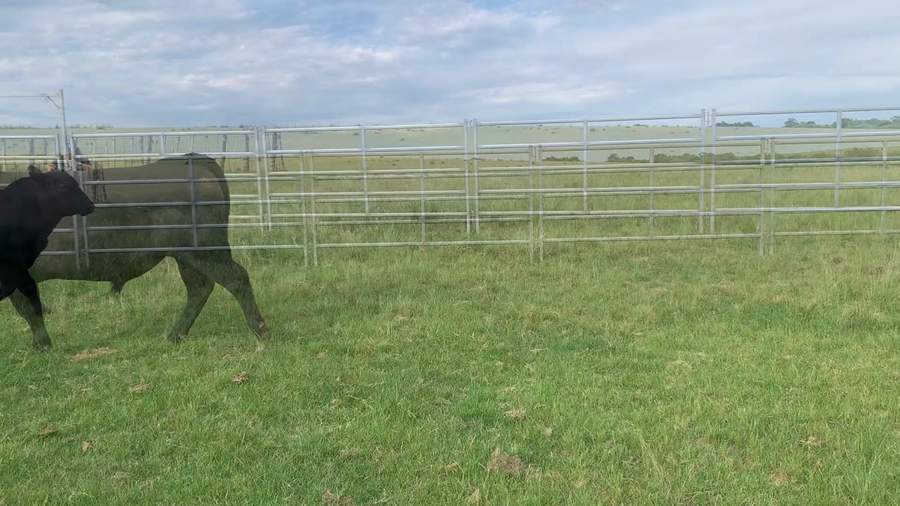 Lote "El Gualicho", RP 6596