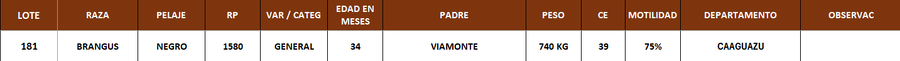 Lote LOTE 181