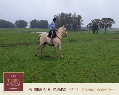 Lote Estribada Del Paraíso (RP 102) - Cabaña El Paraíso