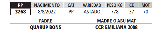 Lote LOTE 36