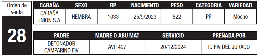 Lote LOTE 28