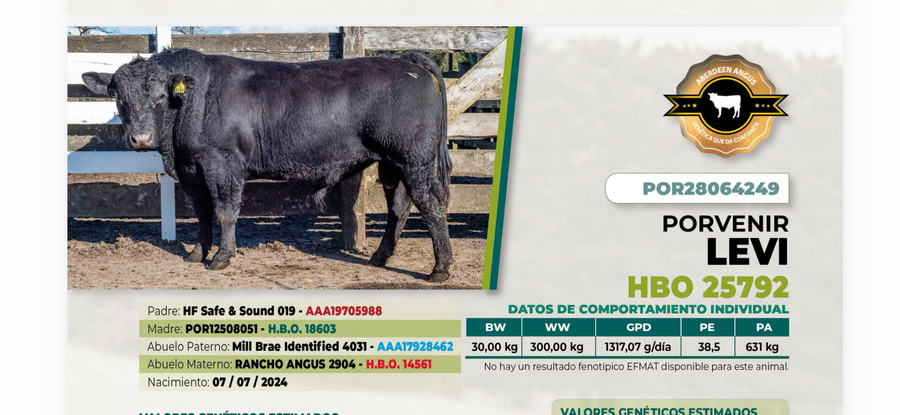 Lote 1 Toro LEVI DIIO 4249