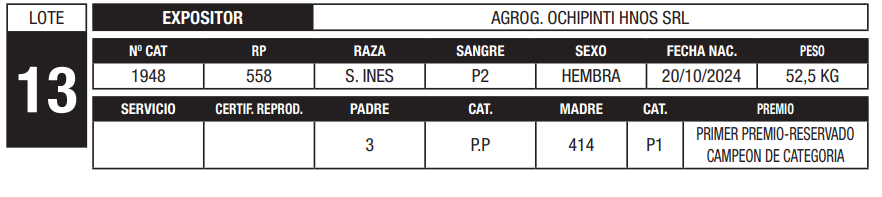 Lote LOTE 13